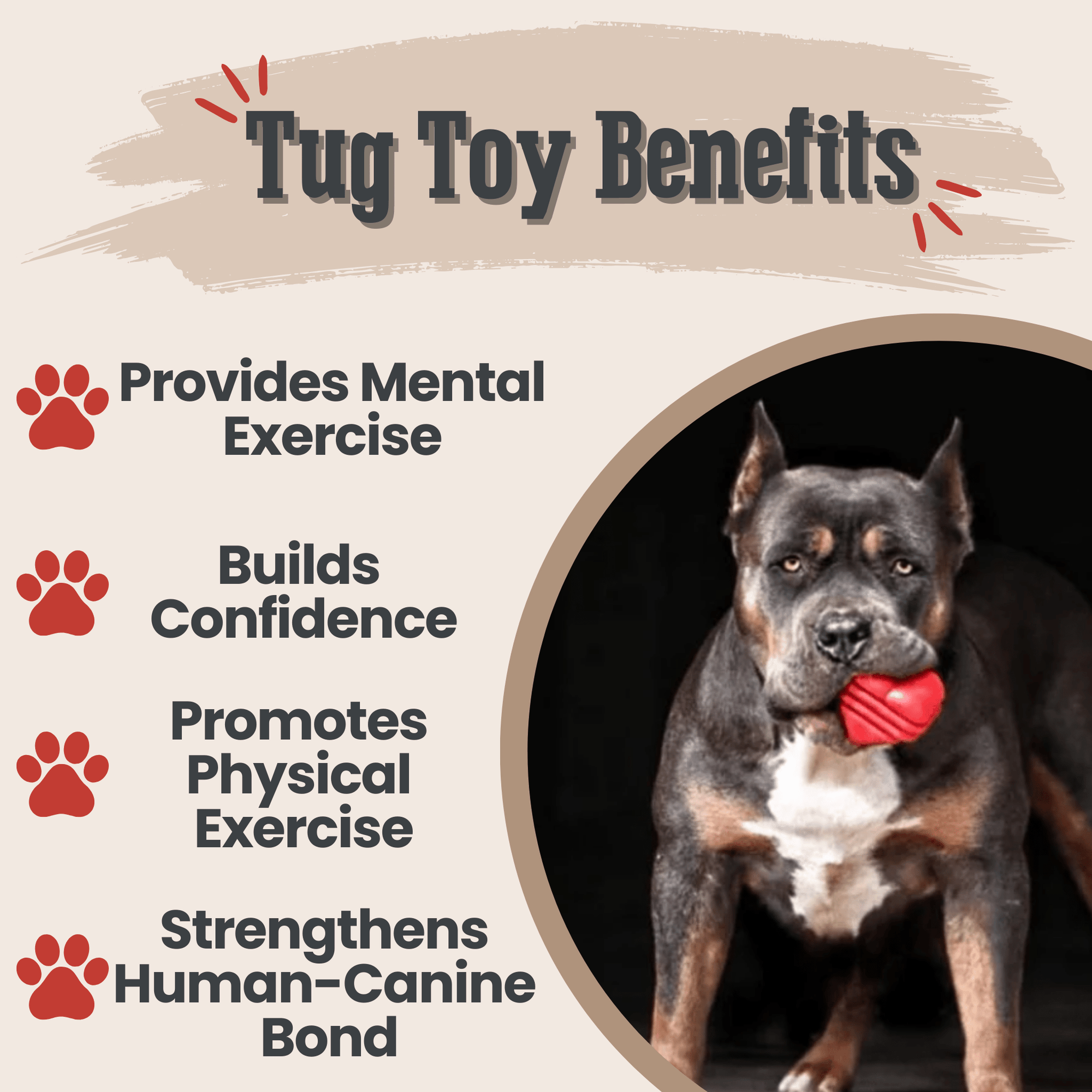 Farm To Pet Chew Toys for Dogs