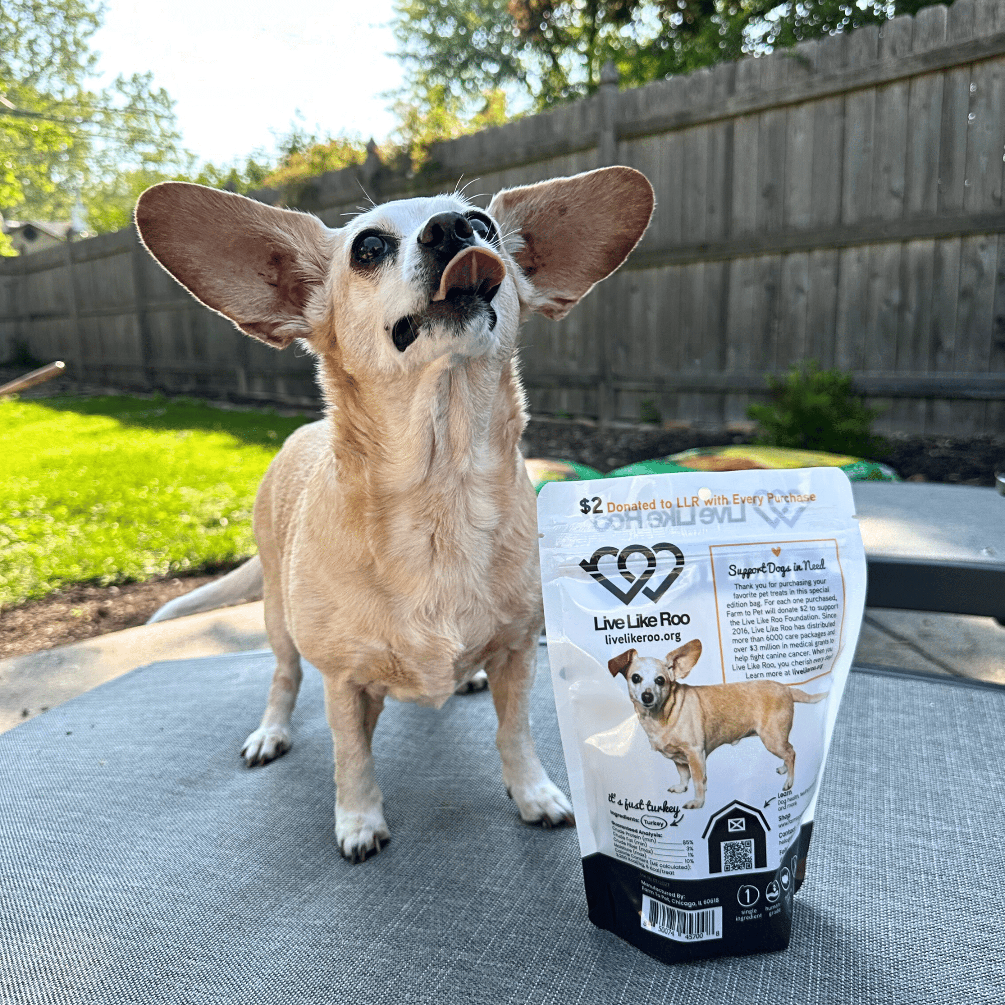 Farm To Pet Live Like Roo Turkey Chips Dog Treats
