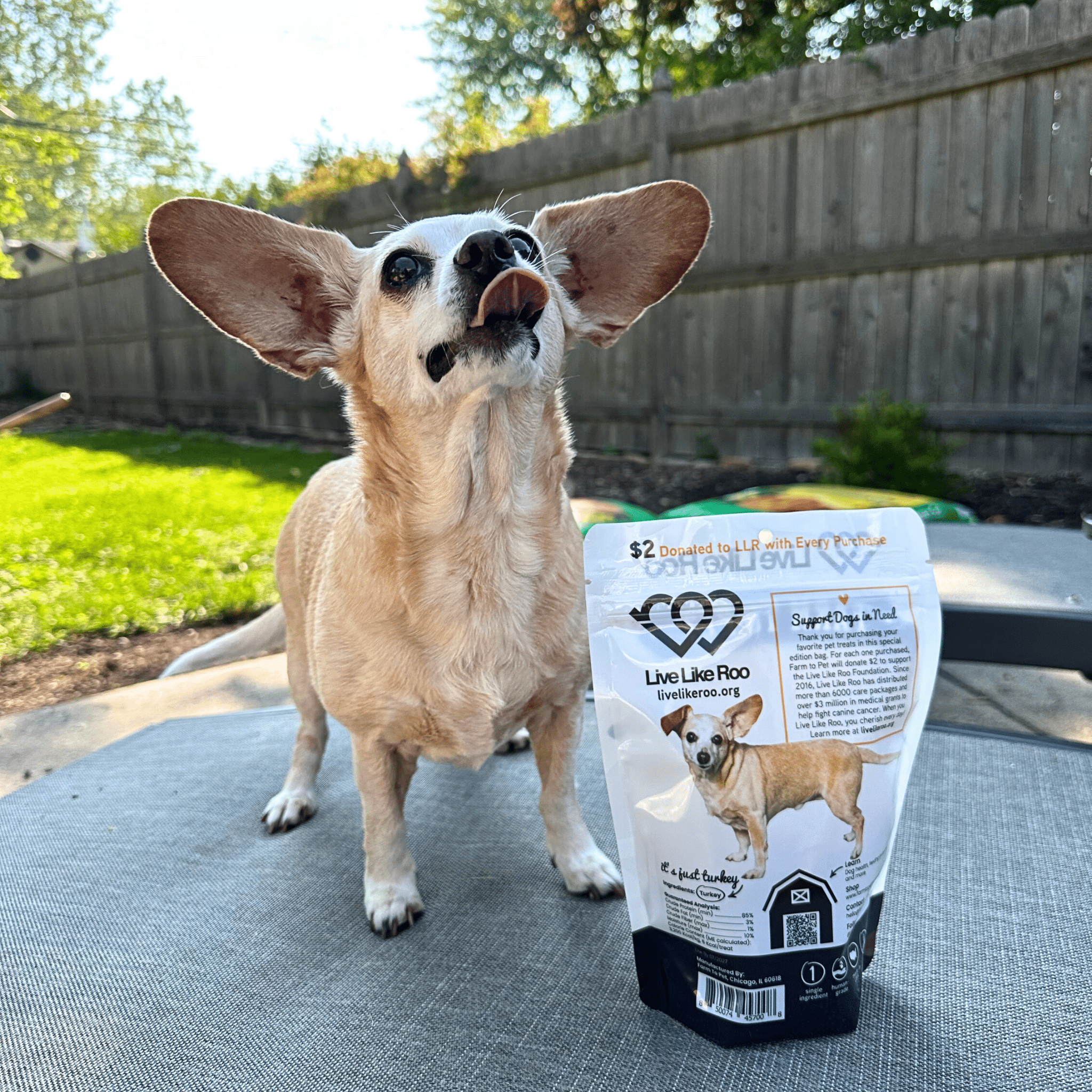 Farm To Pet Live Like Roo Turkey Chips Dog Treats