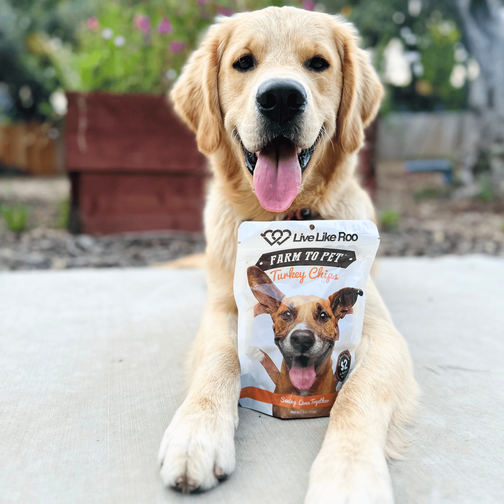 Farm To Pet Live Like Roo Turkey Chips Dog Treats