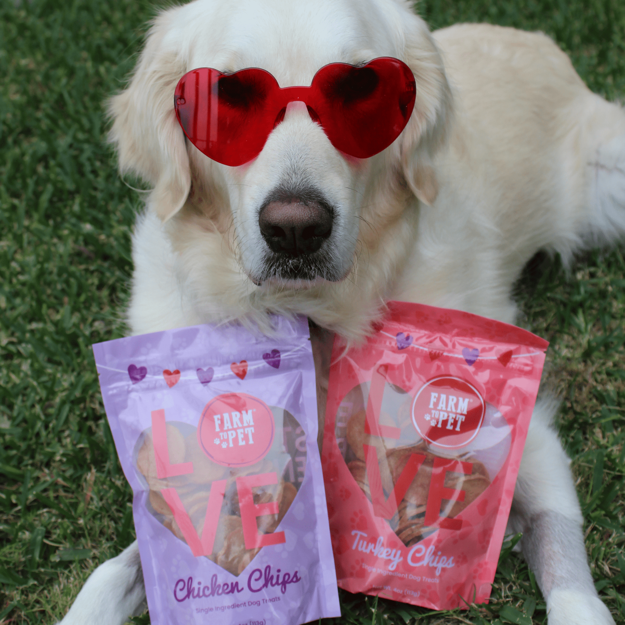 Farm To Pet Puppy Love Poultry Chip Dog Treat Duo