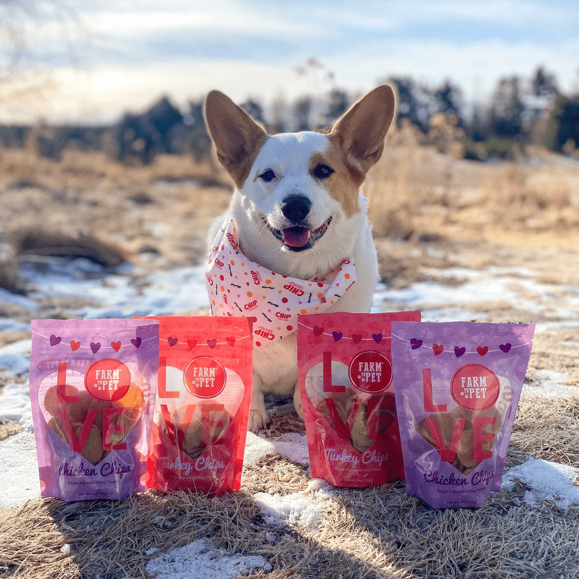 Farm To Pet Puppy Love Poultry Chip Dog Treat Duo