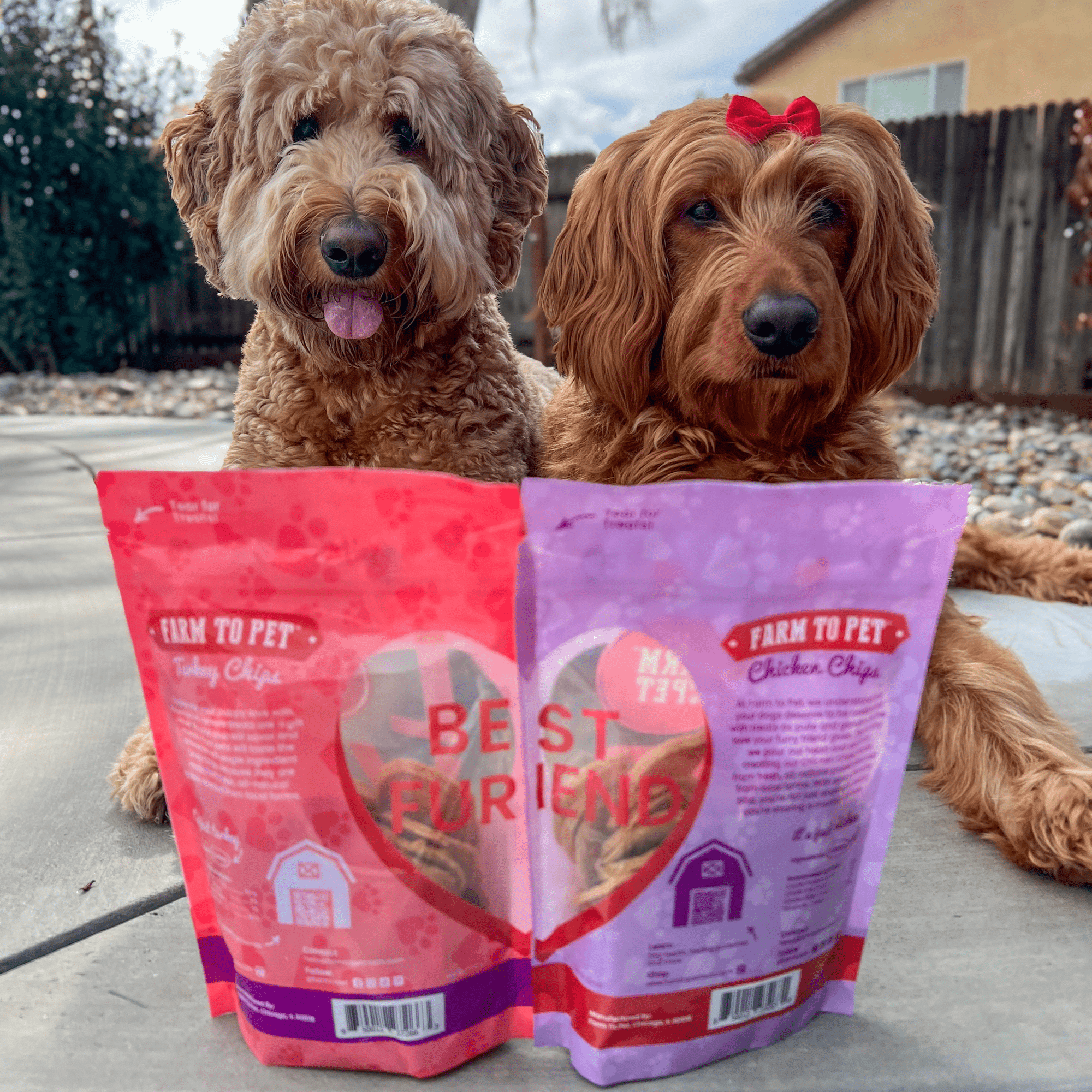 Farm To Pet Puppy Love Poultry Chip Dog Treat Duo