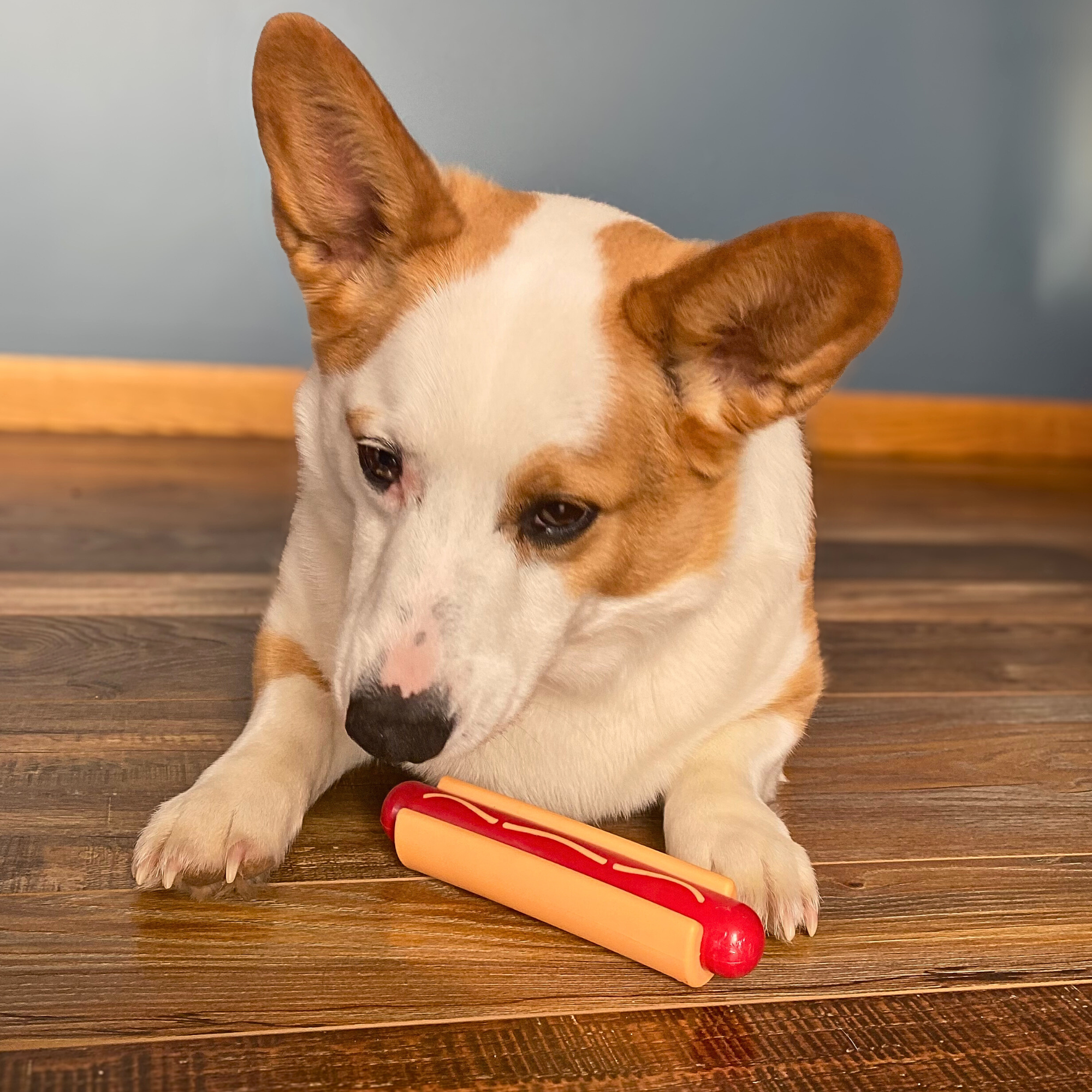 Farm To Pet Chew Toys for Dogs