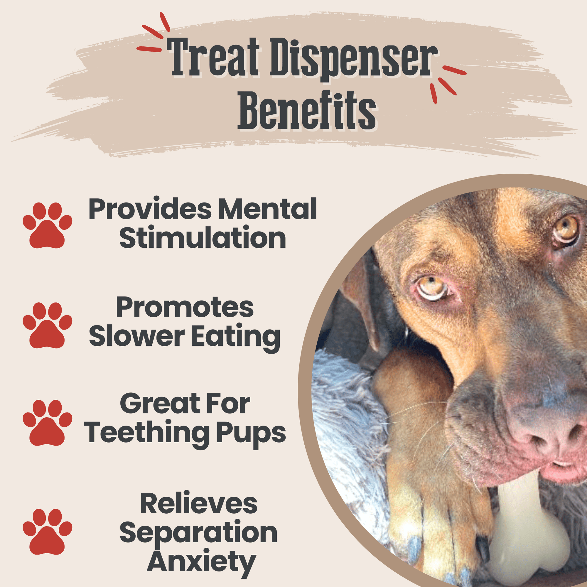 Farm To Pet Dog Treat Dispensers
