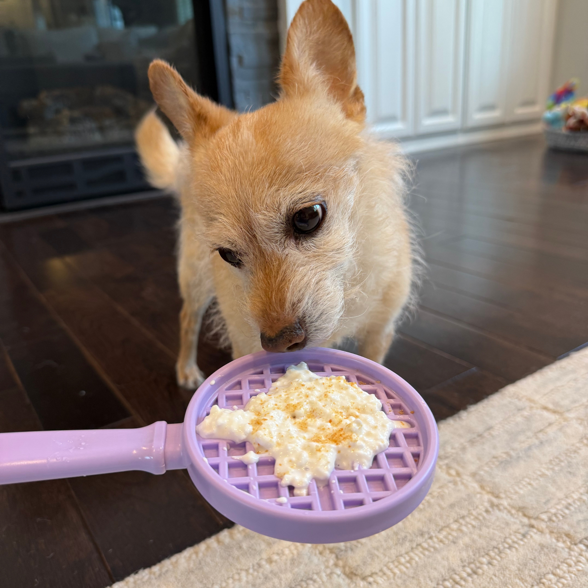 Farm To Pet Lick Sticks Interactive Dog Training Toy
