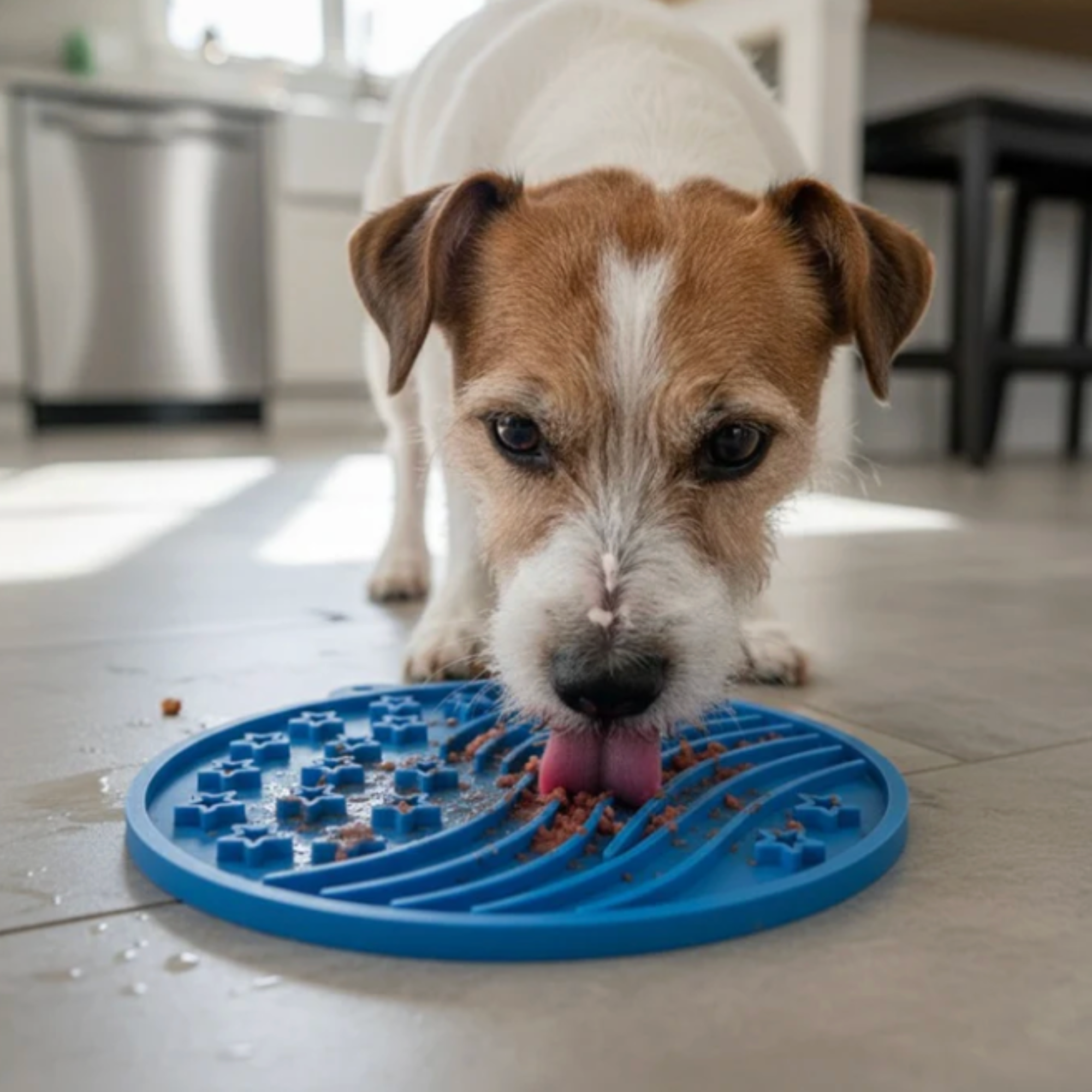 Farm To Pet Dog Lick Mats with Suction Cups