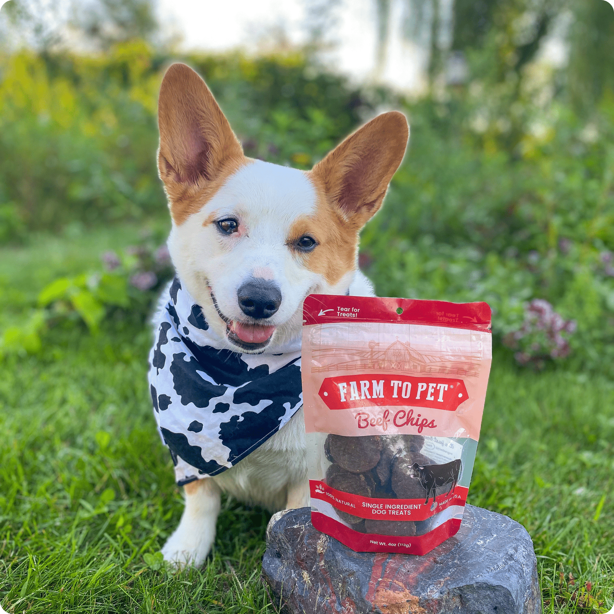 Farm To Pet Beef Chips Dog Treats