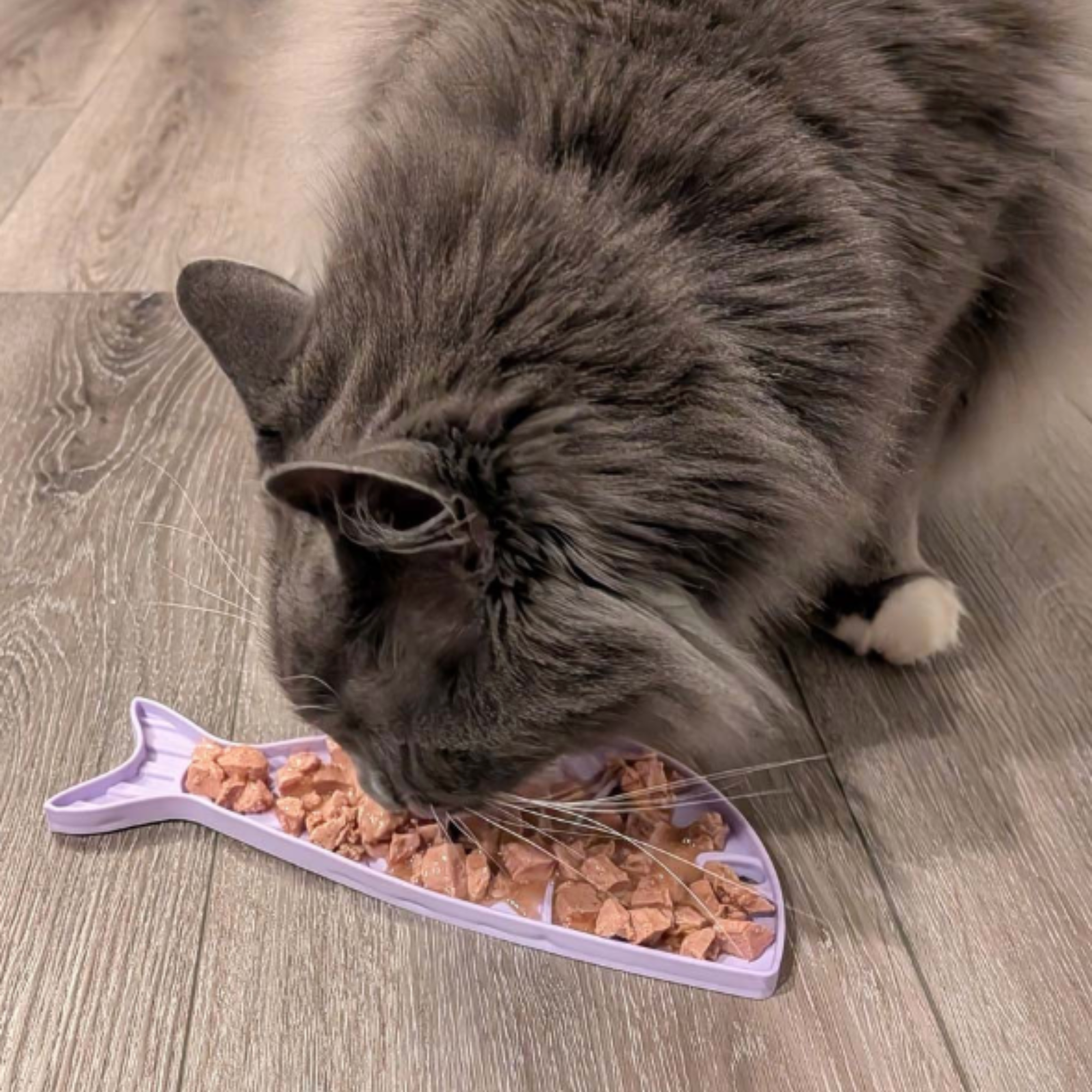 Farm To Pet Lick Mats for Cats and Small Dogs