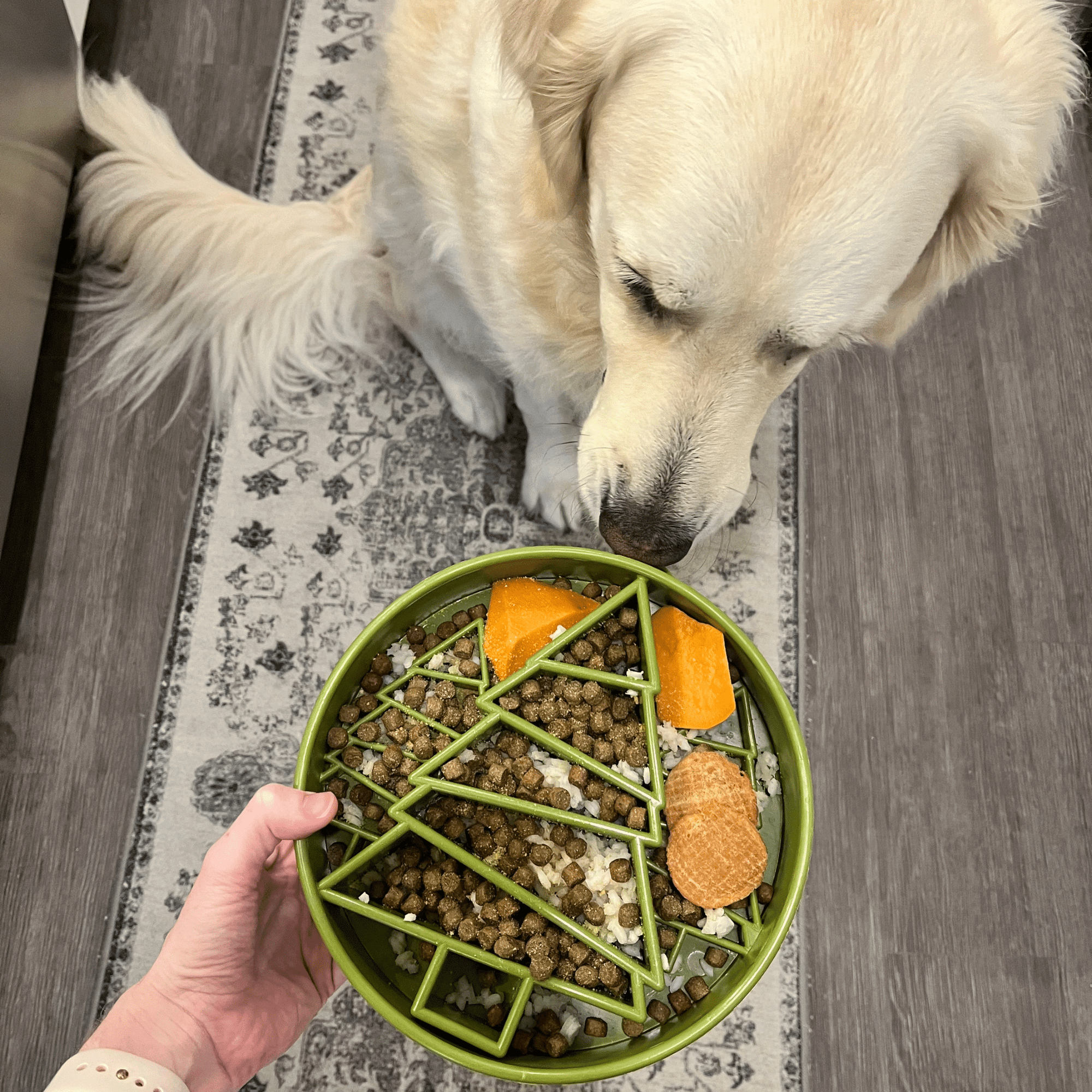 Farm To Pet Slow Feeder Dog Bowls