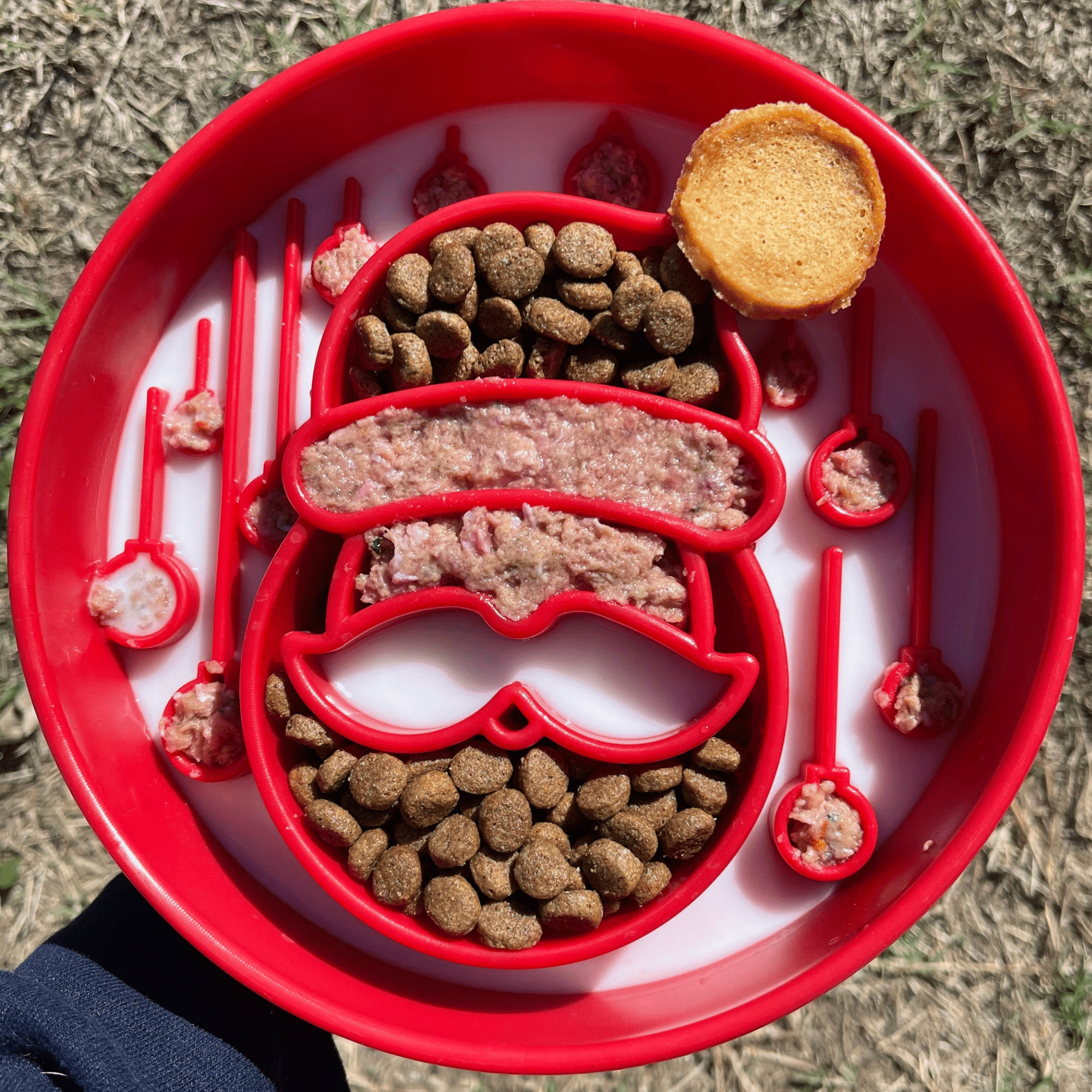 Farm To Pet Slow Feeder Dog Bowls