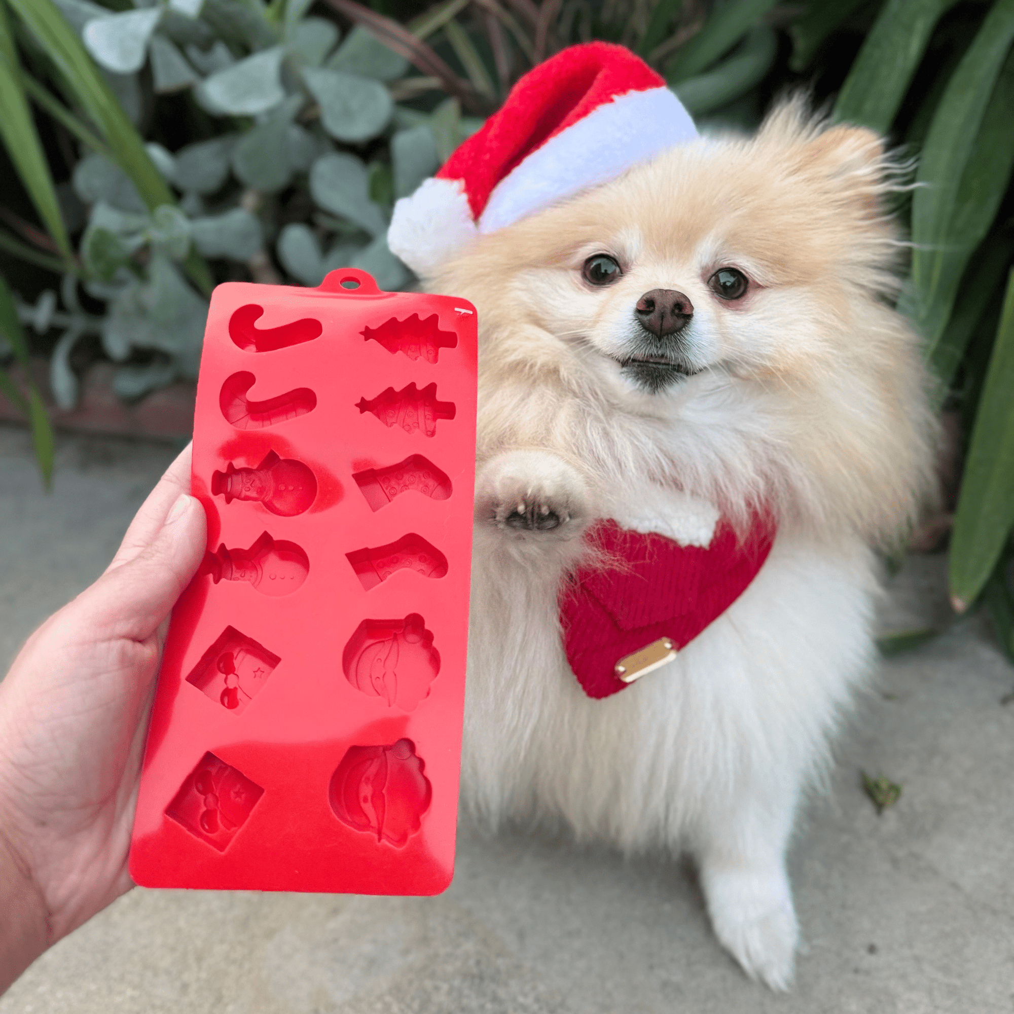 Farm To Pet Pet Treat Molds