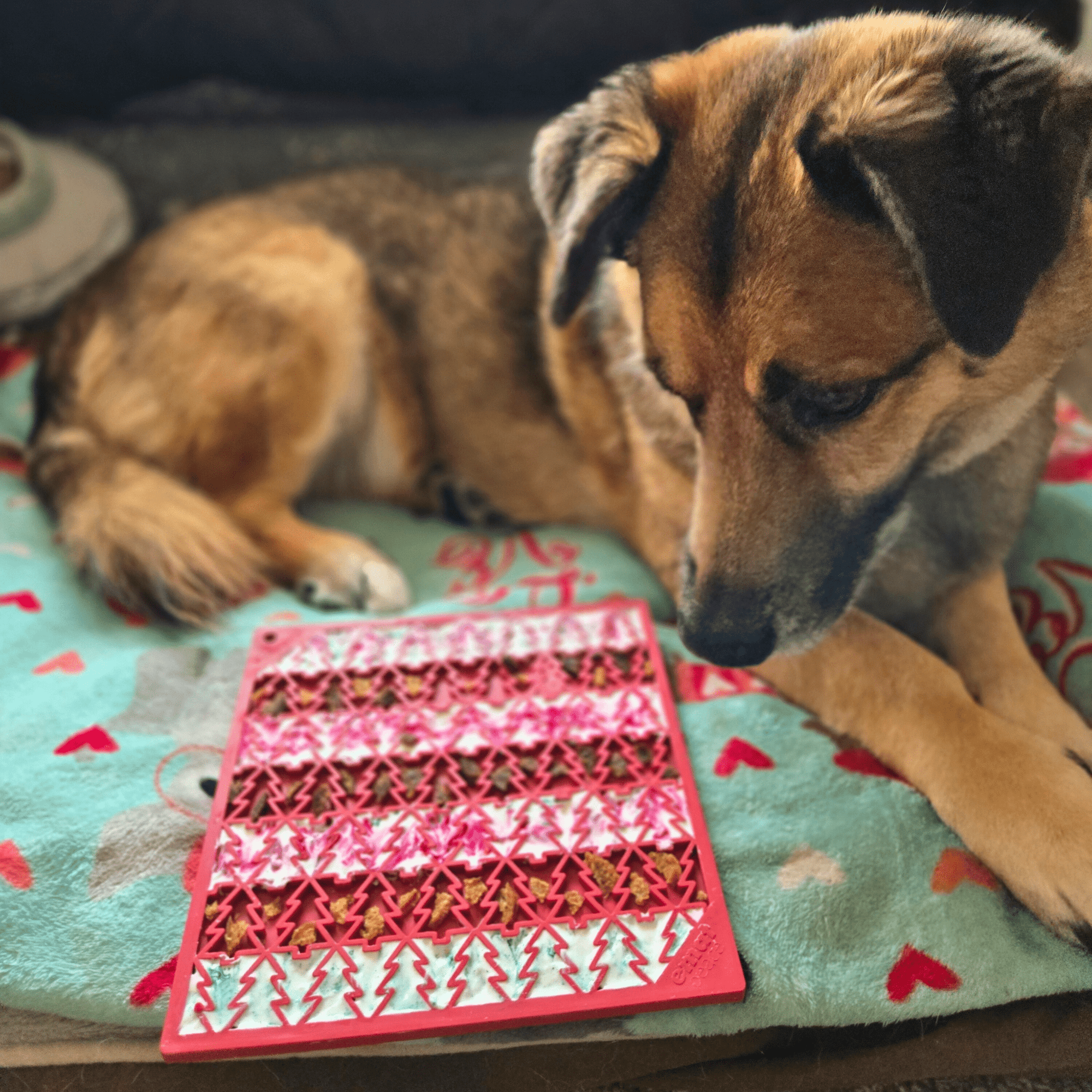 Farm To Pet Dog Lick Mats