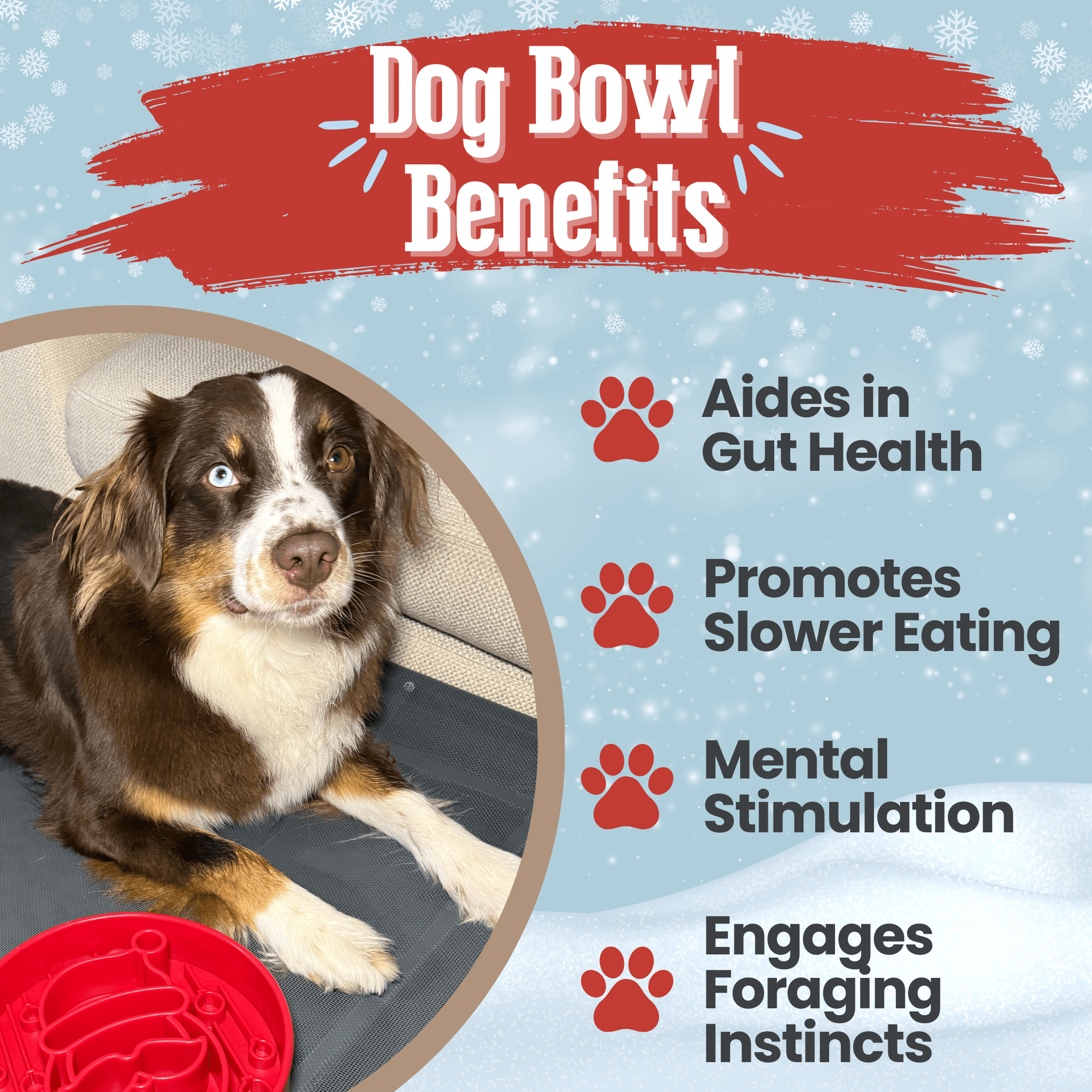 Farm To Pet Slow Feeder Dog Bowls