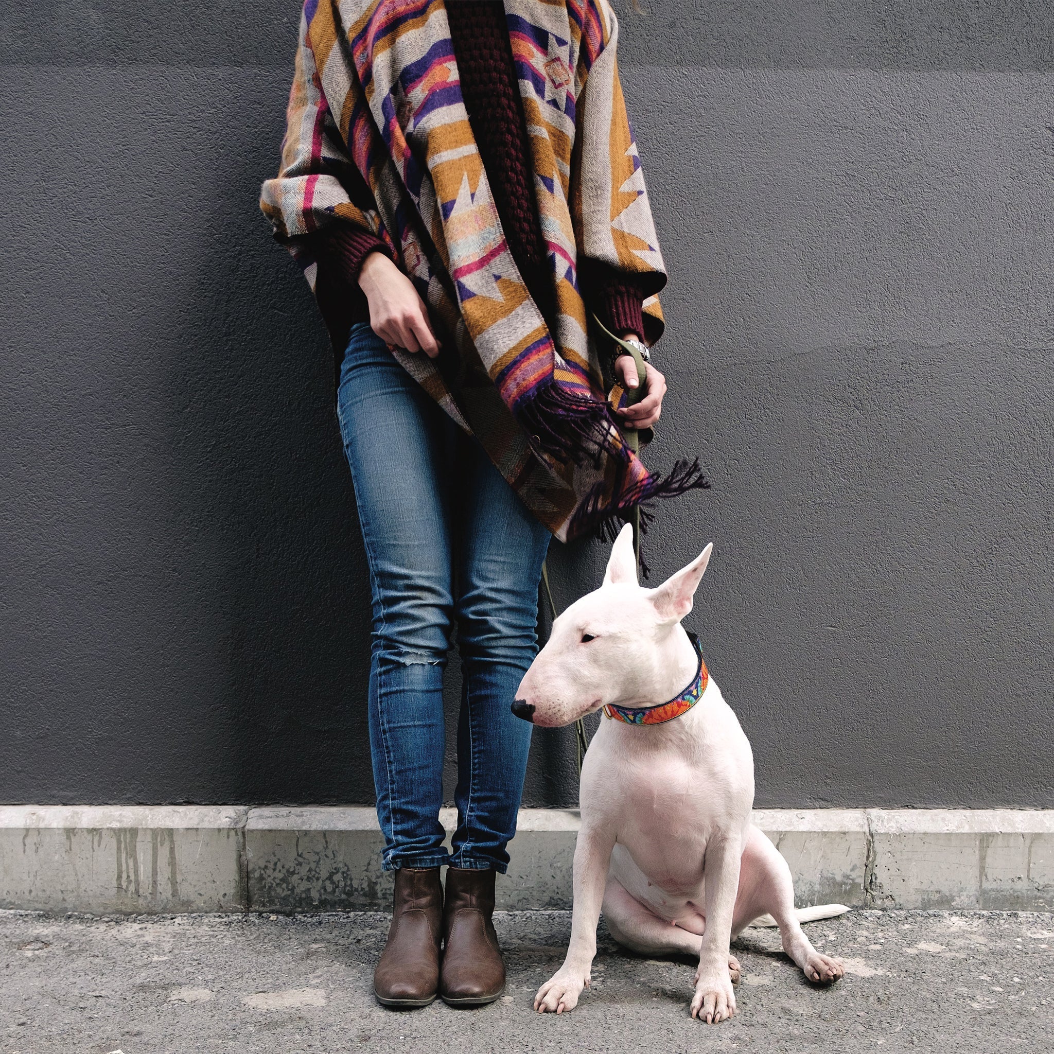 Feelin Groovy Dog Collar