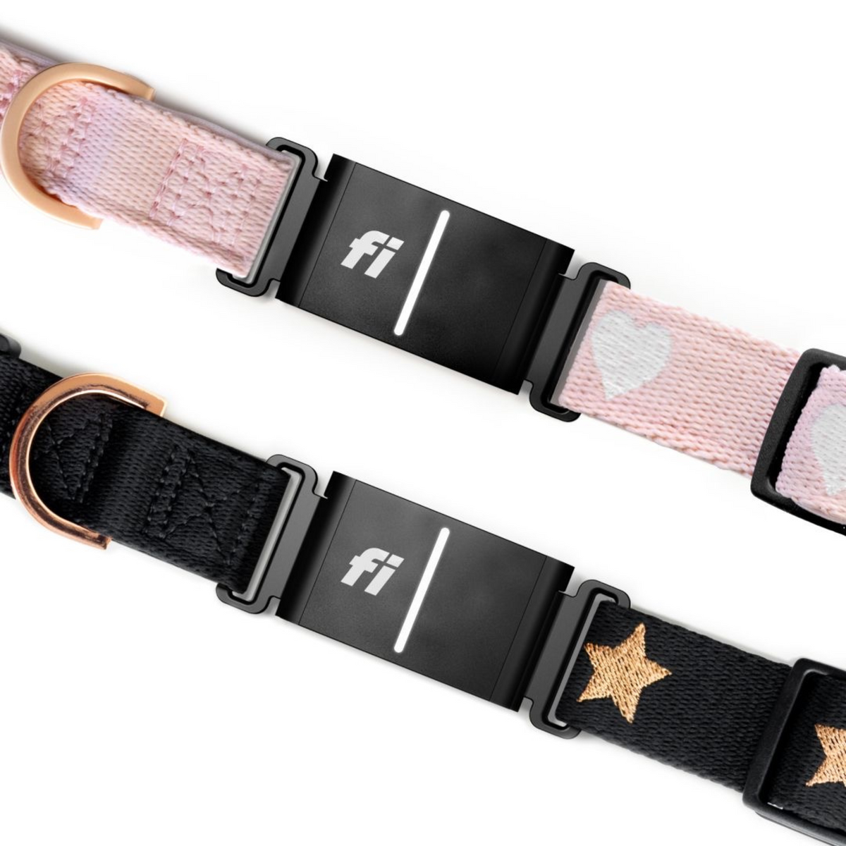 DOGISTRY x Fi Sweetheart 3+ Collar Band