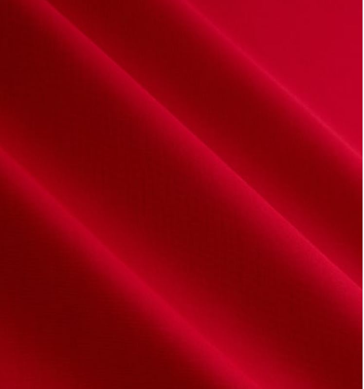 Fido Pet Lifeguard Dog Bandana