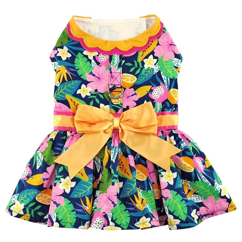 Fiesta Floral Pet Dress with Matching Leash