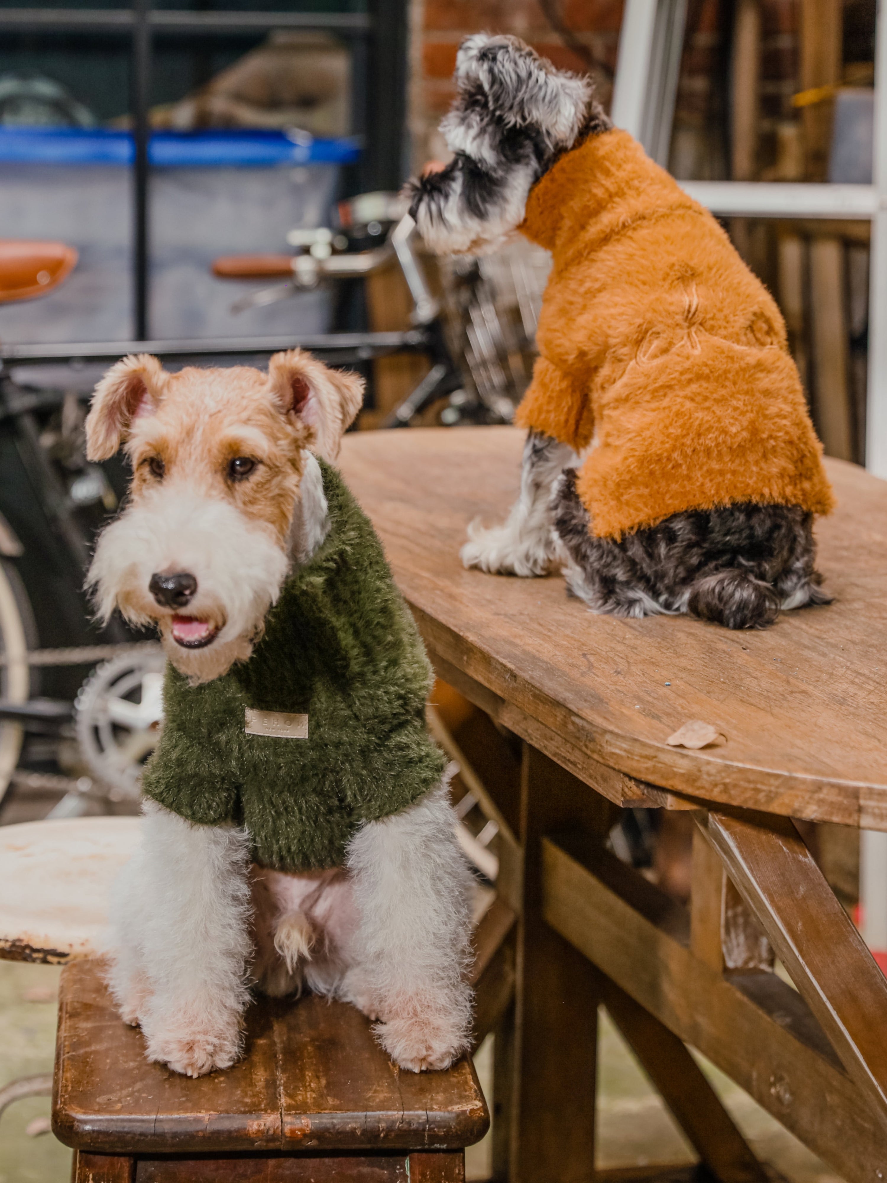 Eskimo Fuzzy Sweater-Orange
