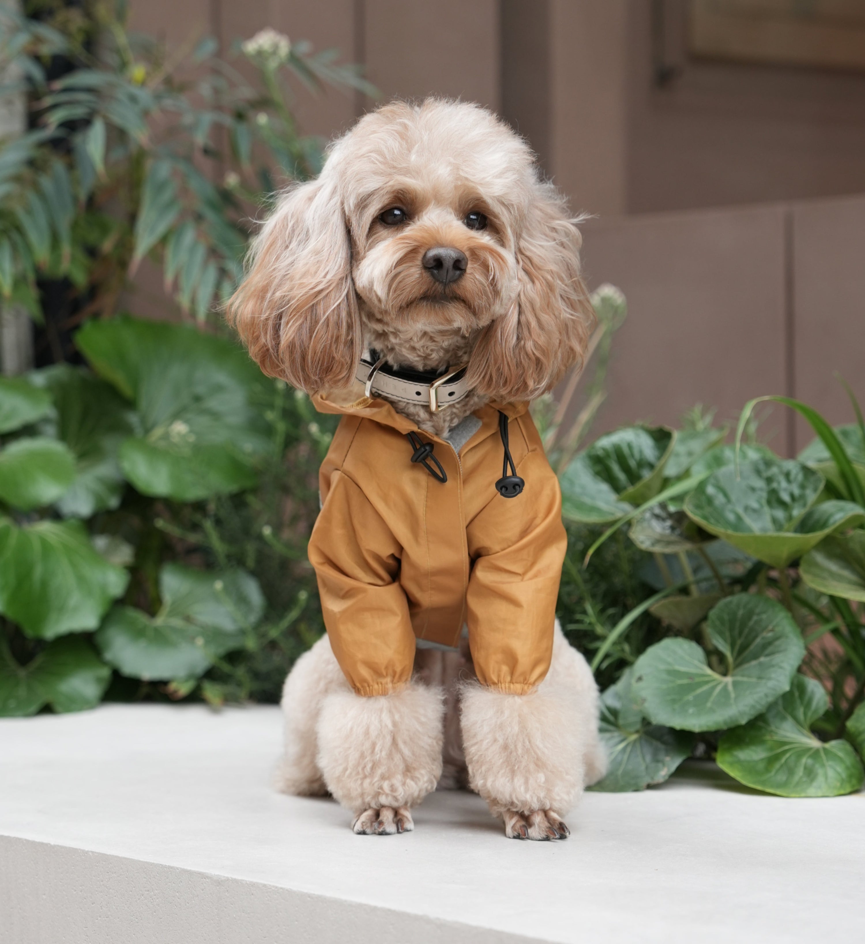 Ultralight Full - Covered Hooded Waterproof Dog Jacket-Yellow