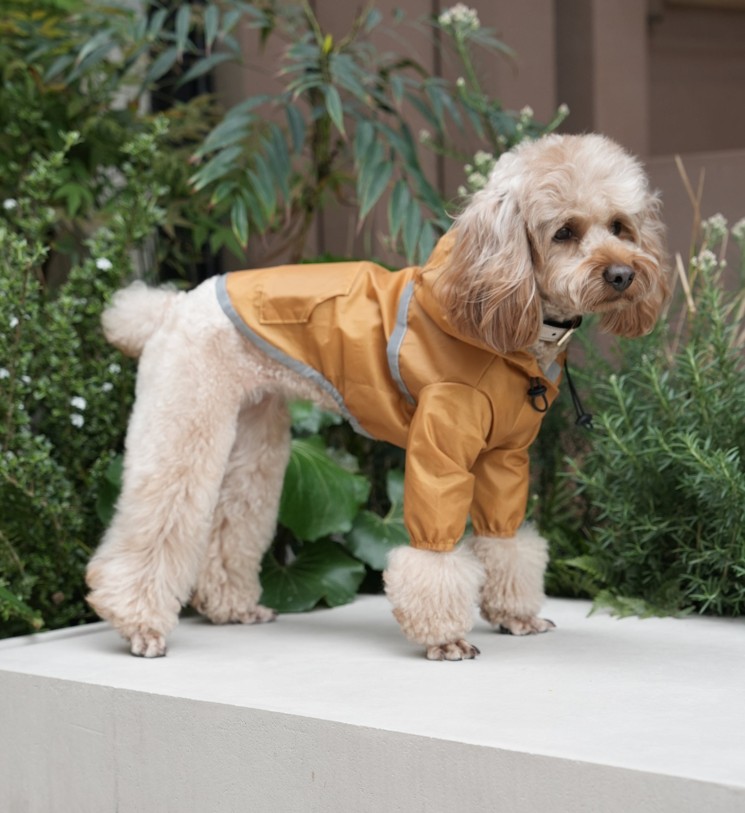 Ultralight Full - Covered Hooded Waterproof Dog Jacket-Yellow