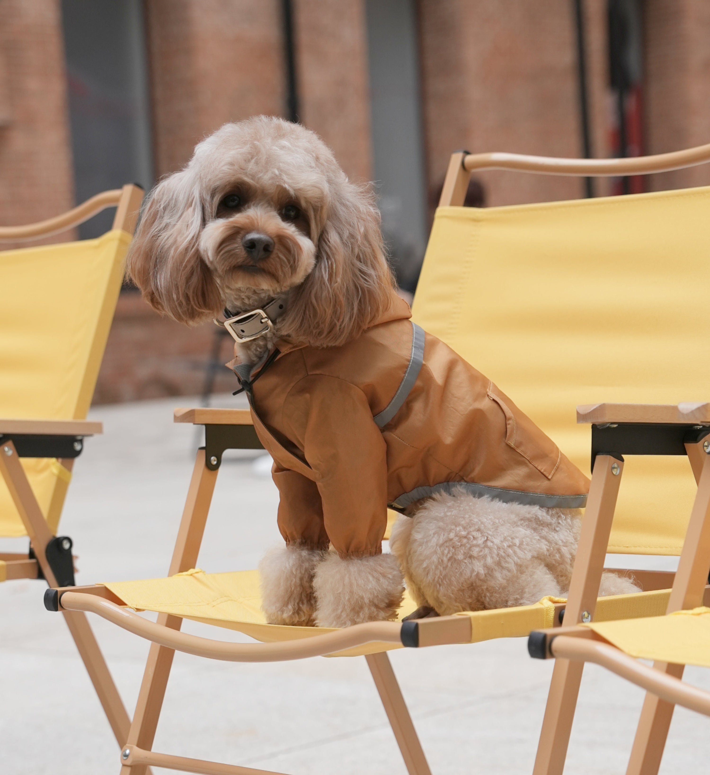 Ultralight Full - Covered Hooded Waterproof Dog Jacket-Yellow