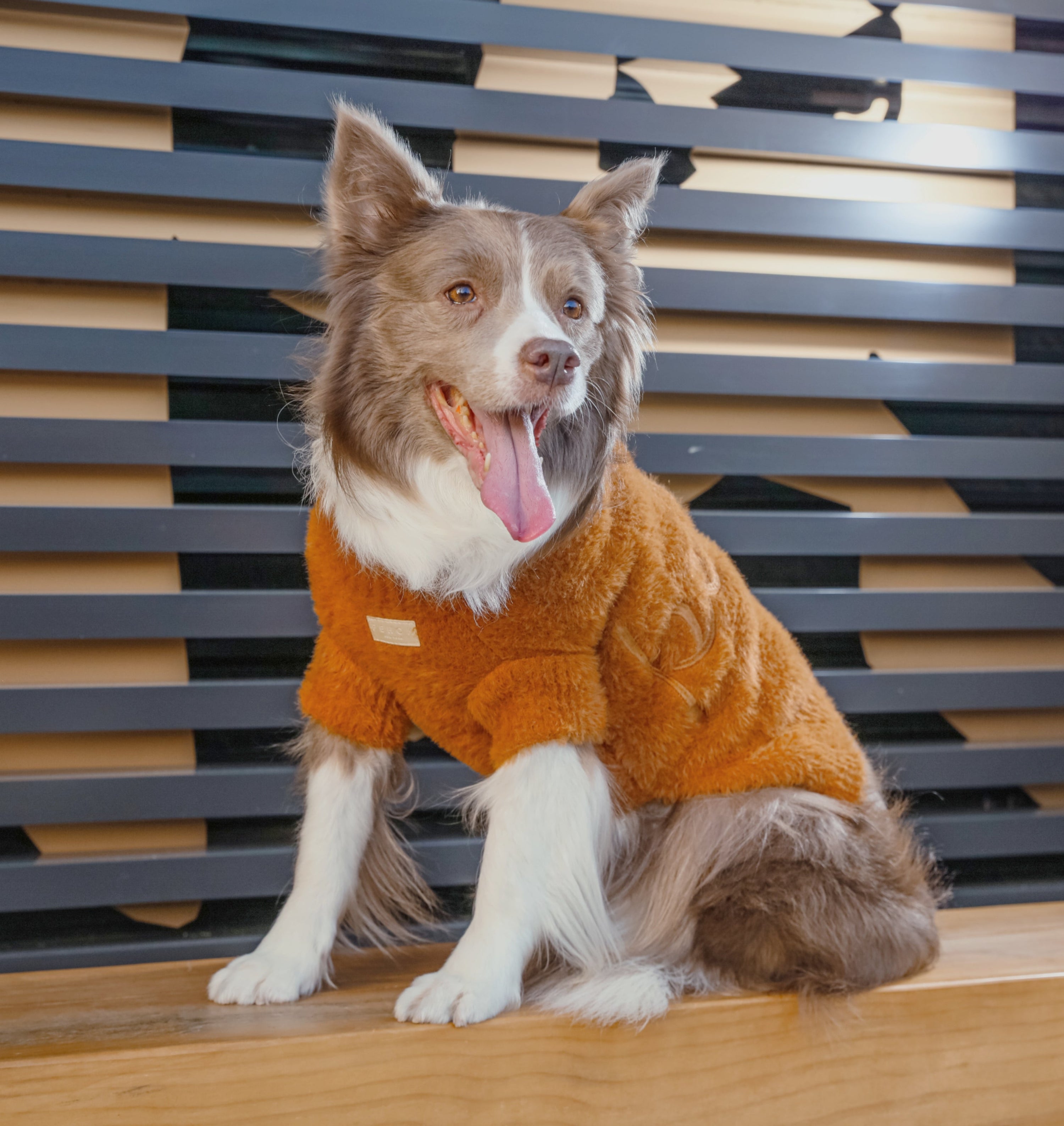 Eskimo Fuzzy Sweater-Orange