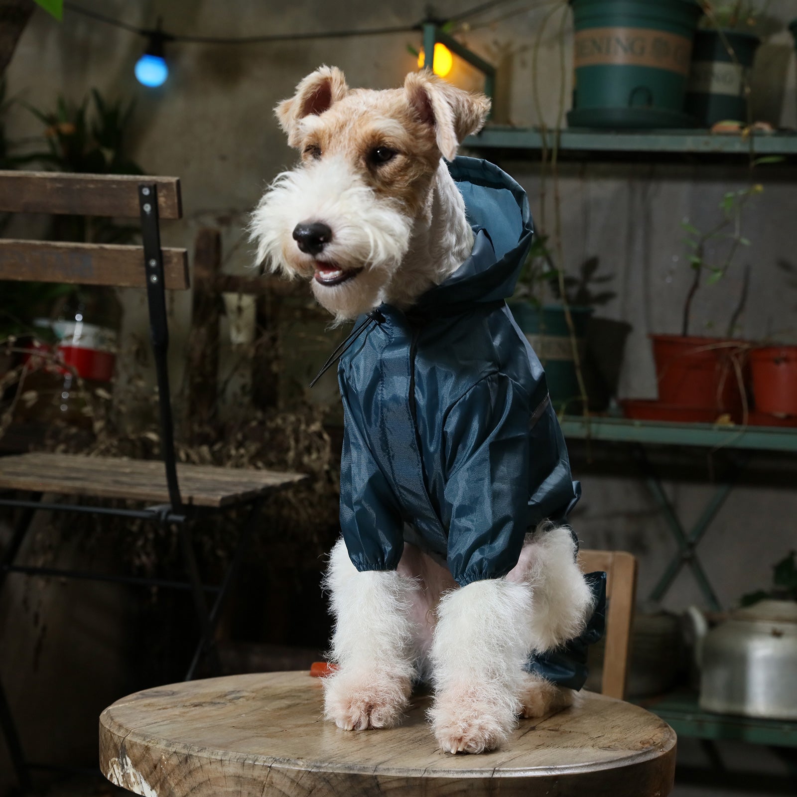Ultralight Full - Covered Hooded Waterproof Dog Jacket-Blue
