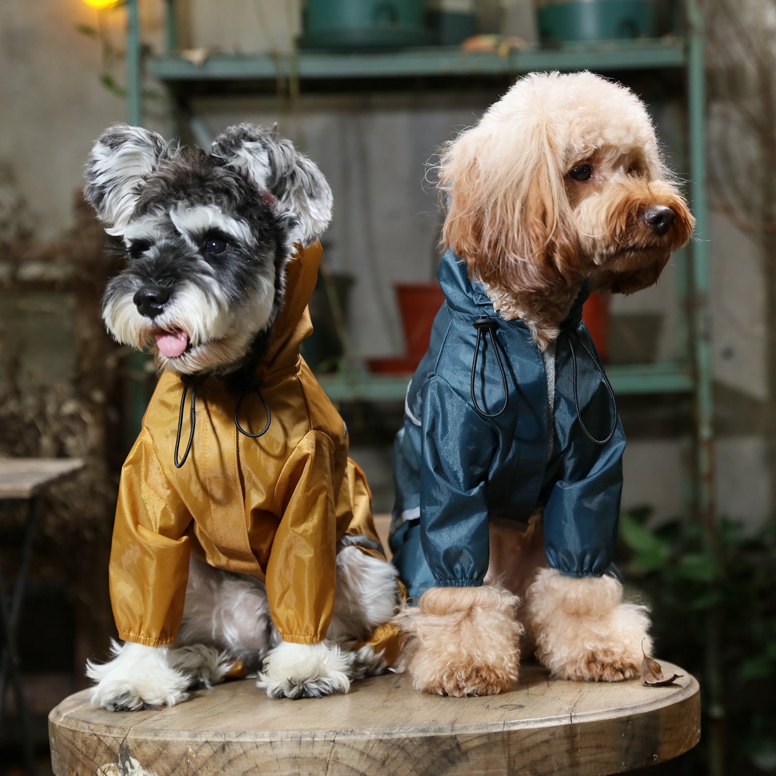 Ultralight Full - Covered Hooded Waterproof Dog Jacket-Blue