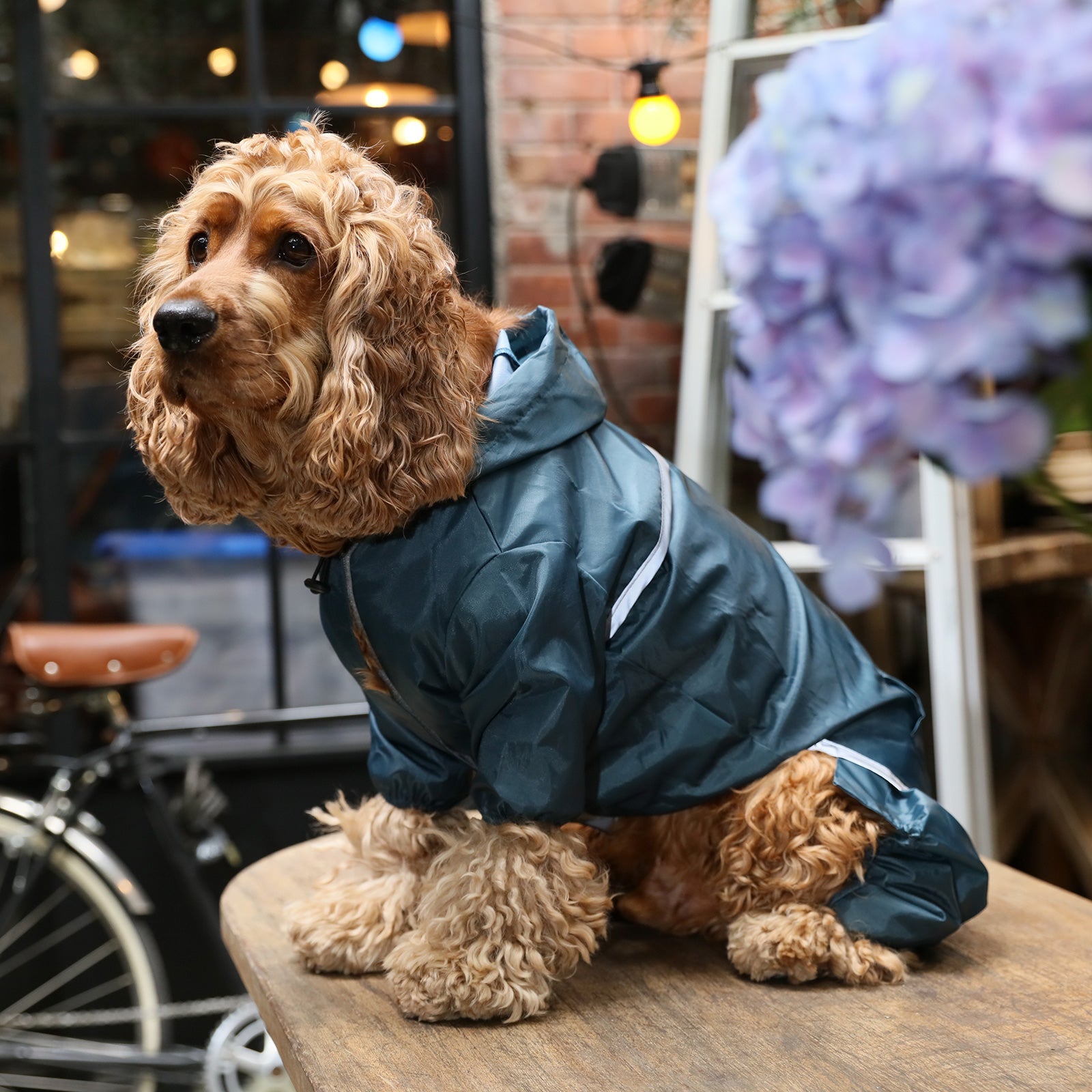 Ultralight Full - Covered Hooded Waterproof Dog Jacket-Blue
