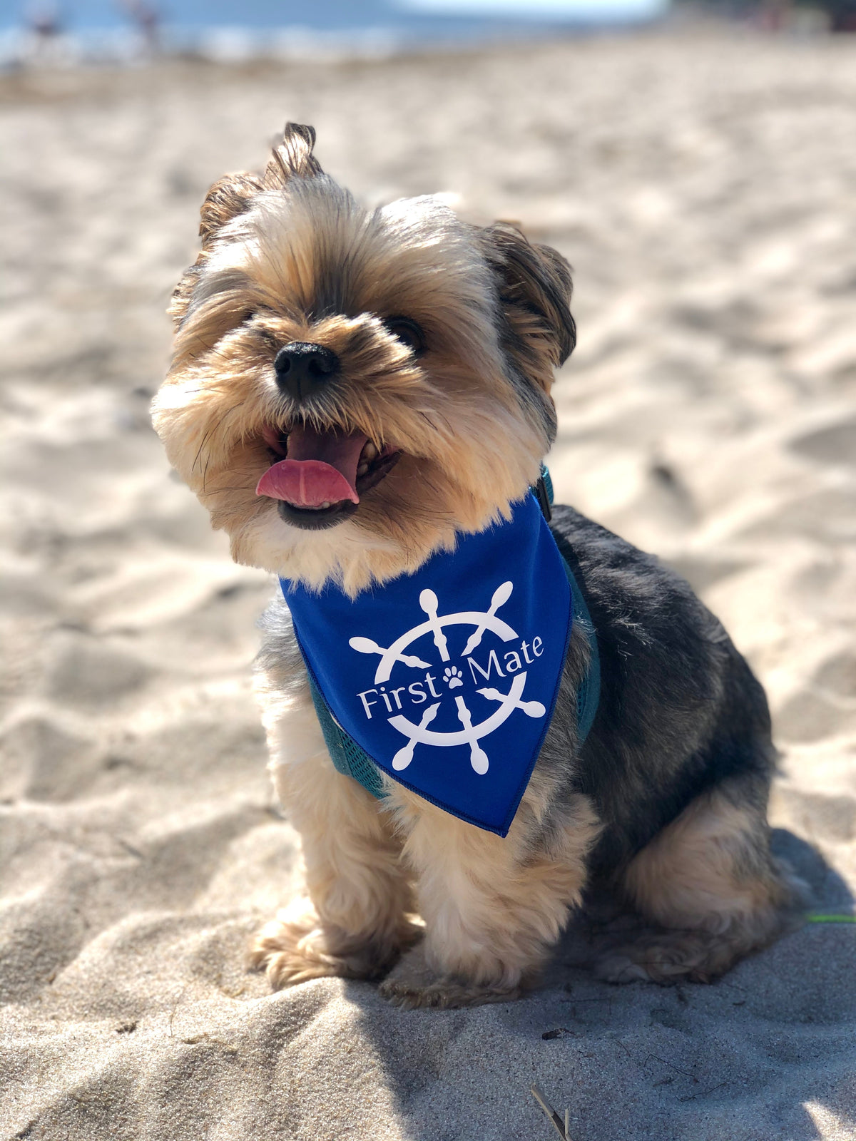 First Mate Dog Bandana