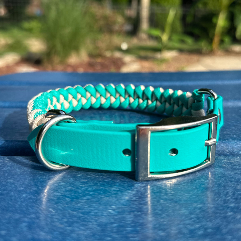 Fishtail Hand Braided Dog Collar in Teal & Cream