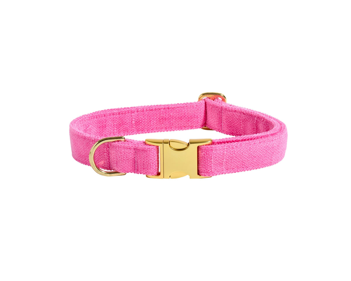 Bowsers Designer Buckle Dog Collar - Secure Everyday Fit and Designer Style