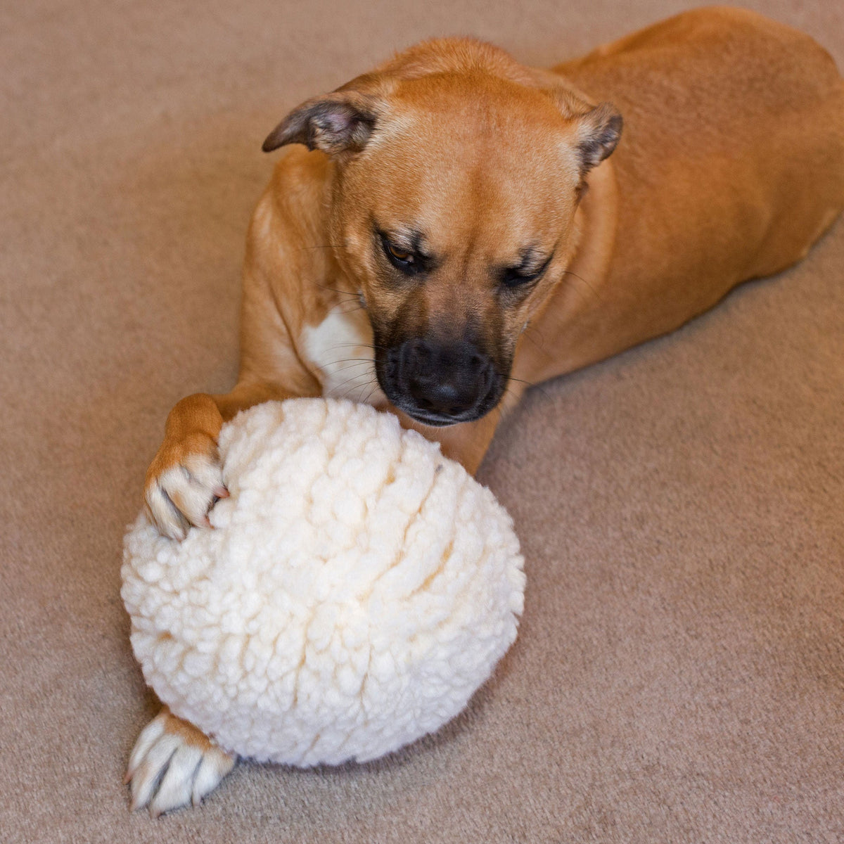 HuggleFleece Plush Ball Dog Toy
