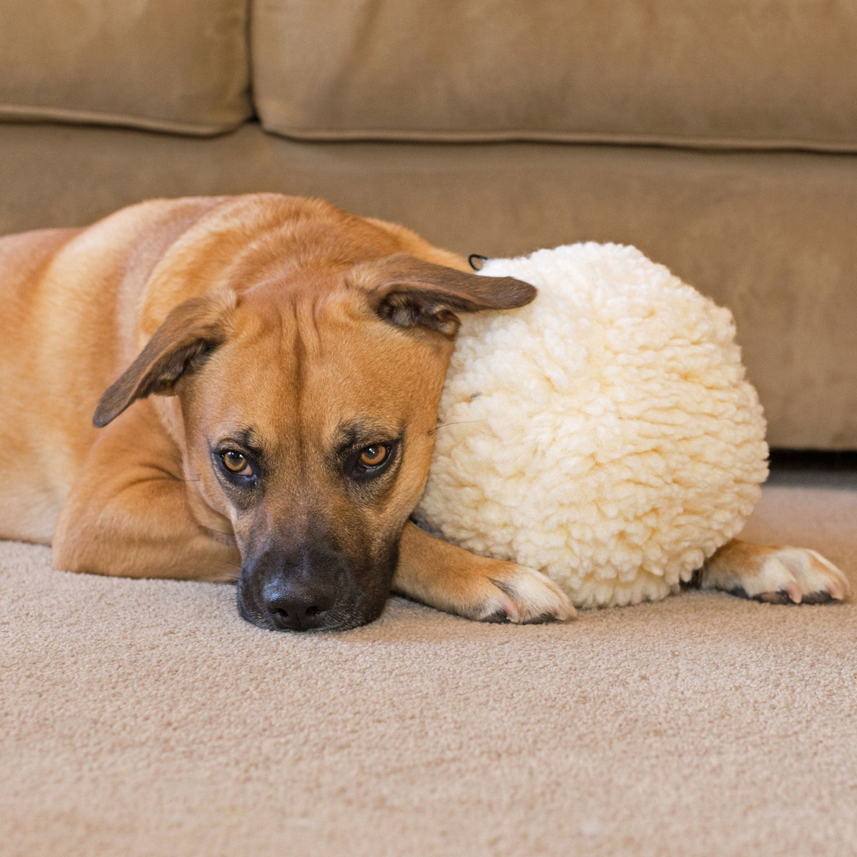 HuggleFleece Plush Ball Dog Toy