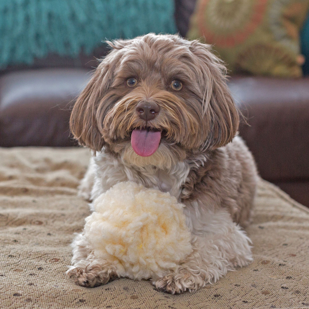 HuggleFleece Plush Ball Dog Toy