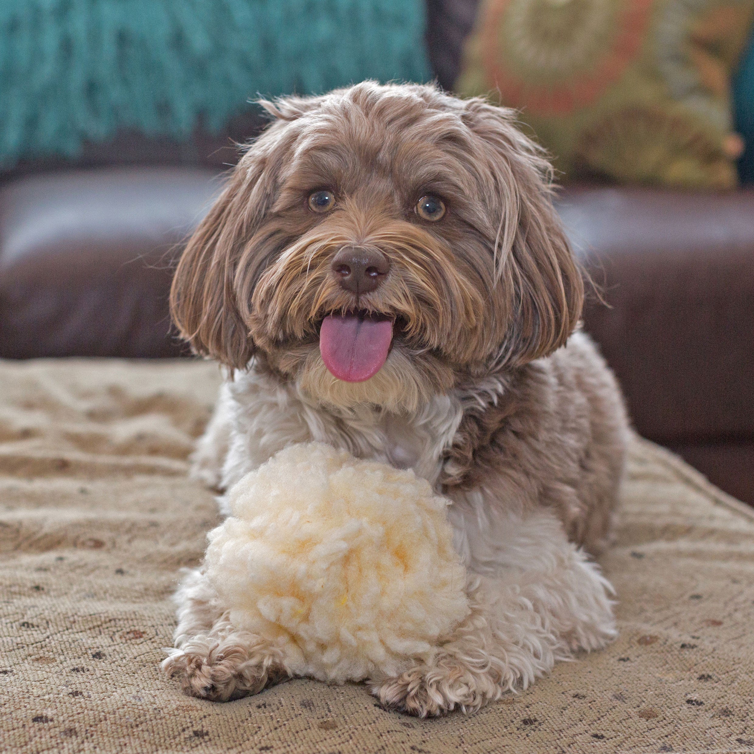 HuggleFleece Plush Ball Dog Toy