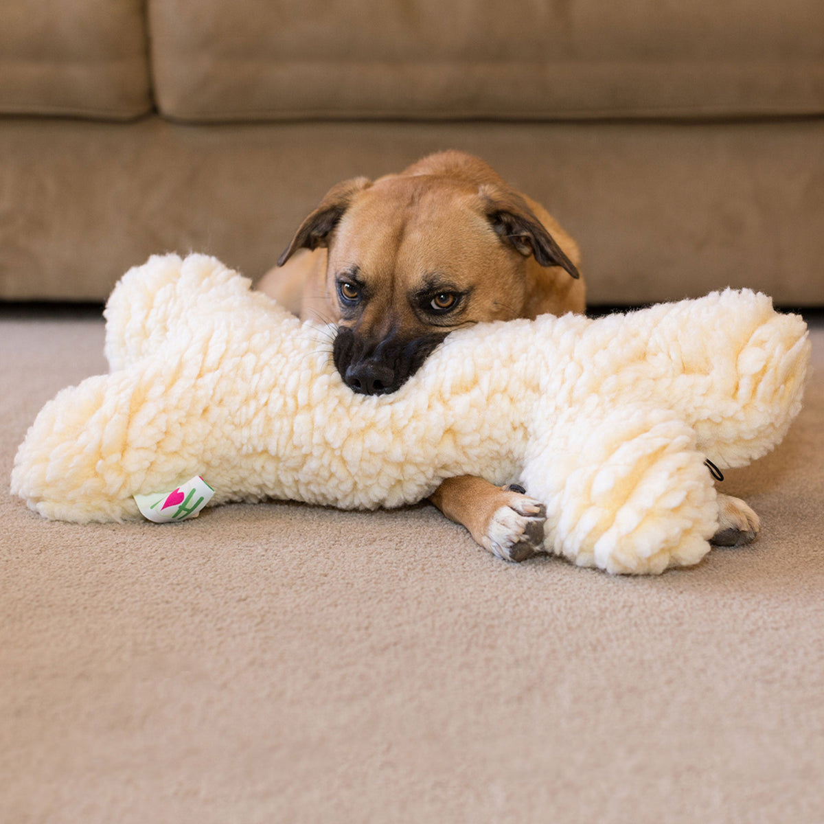 HuggleFleece 2 Plush Bone Dog Toy