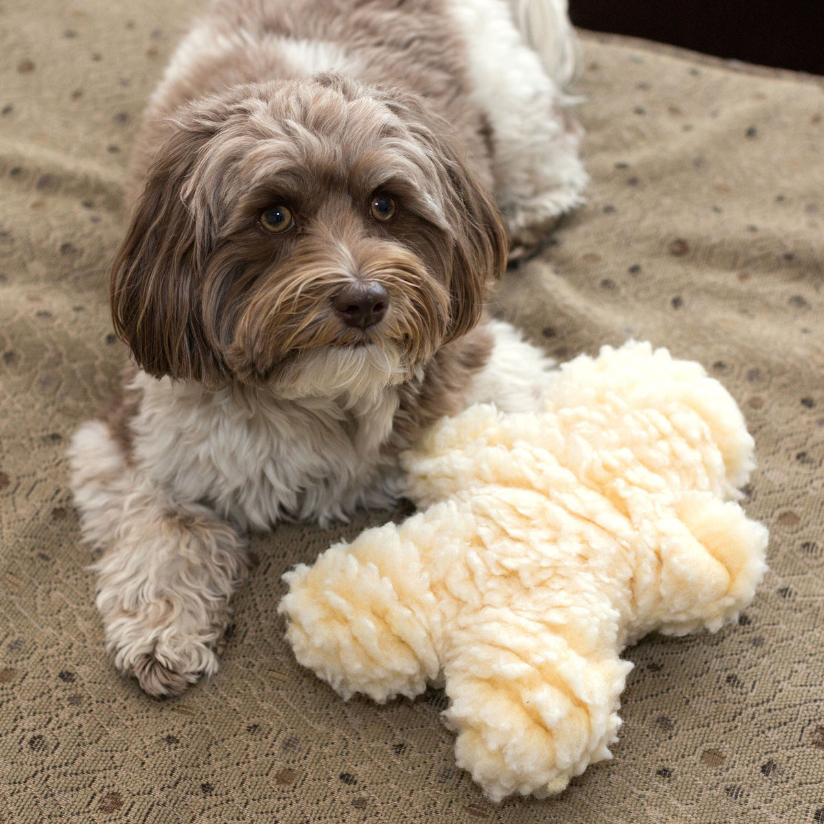 HuggleFleece Man Plush Dog Toy, Regular