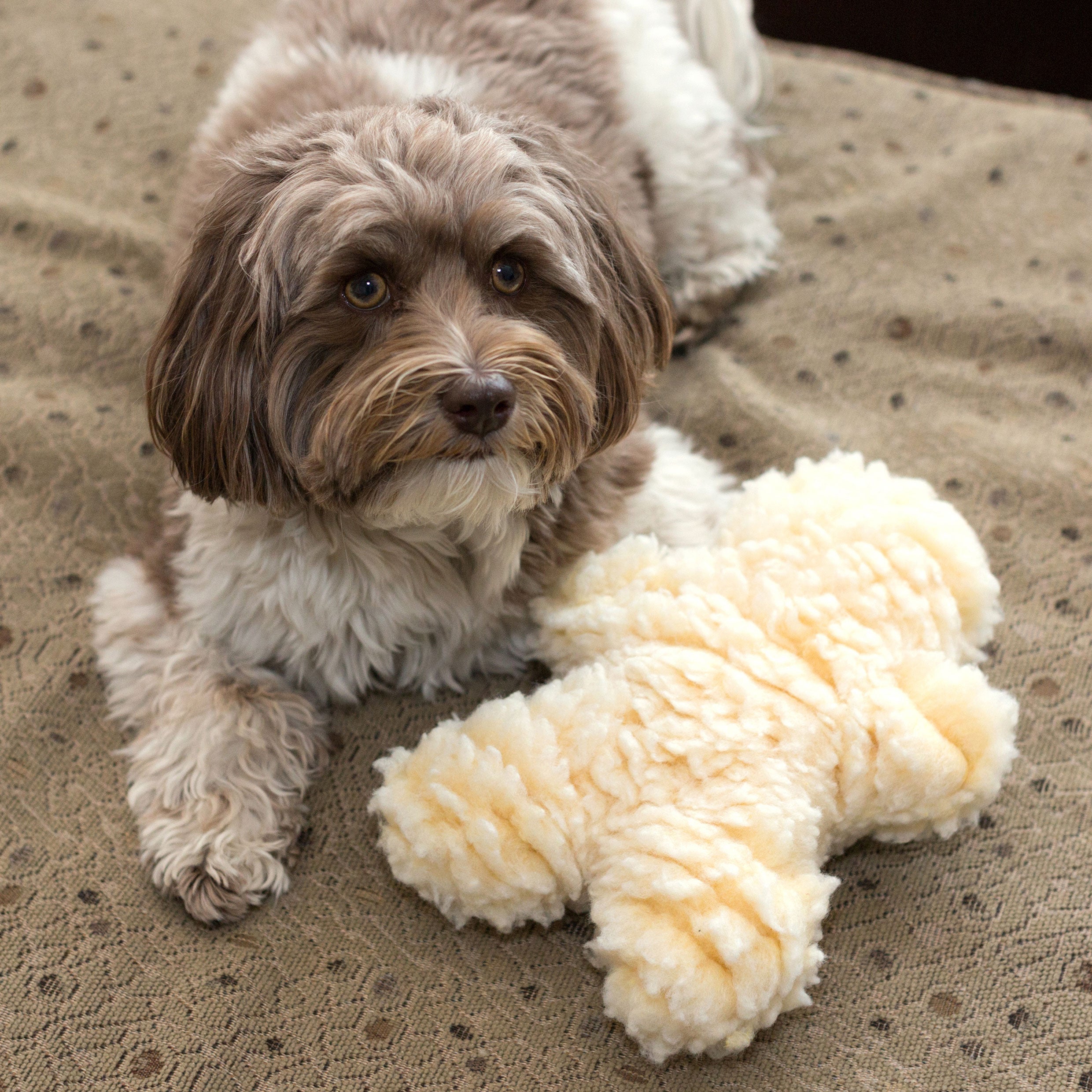 HuggleFleece Man Plush Dog Toy, Regular