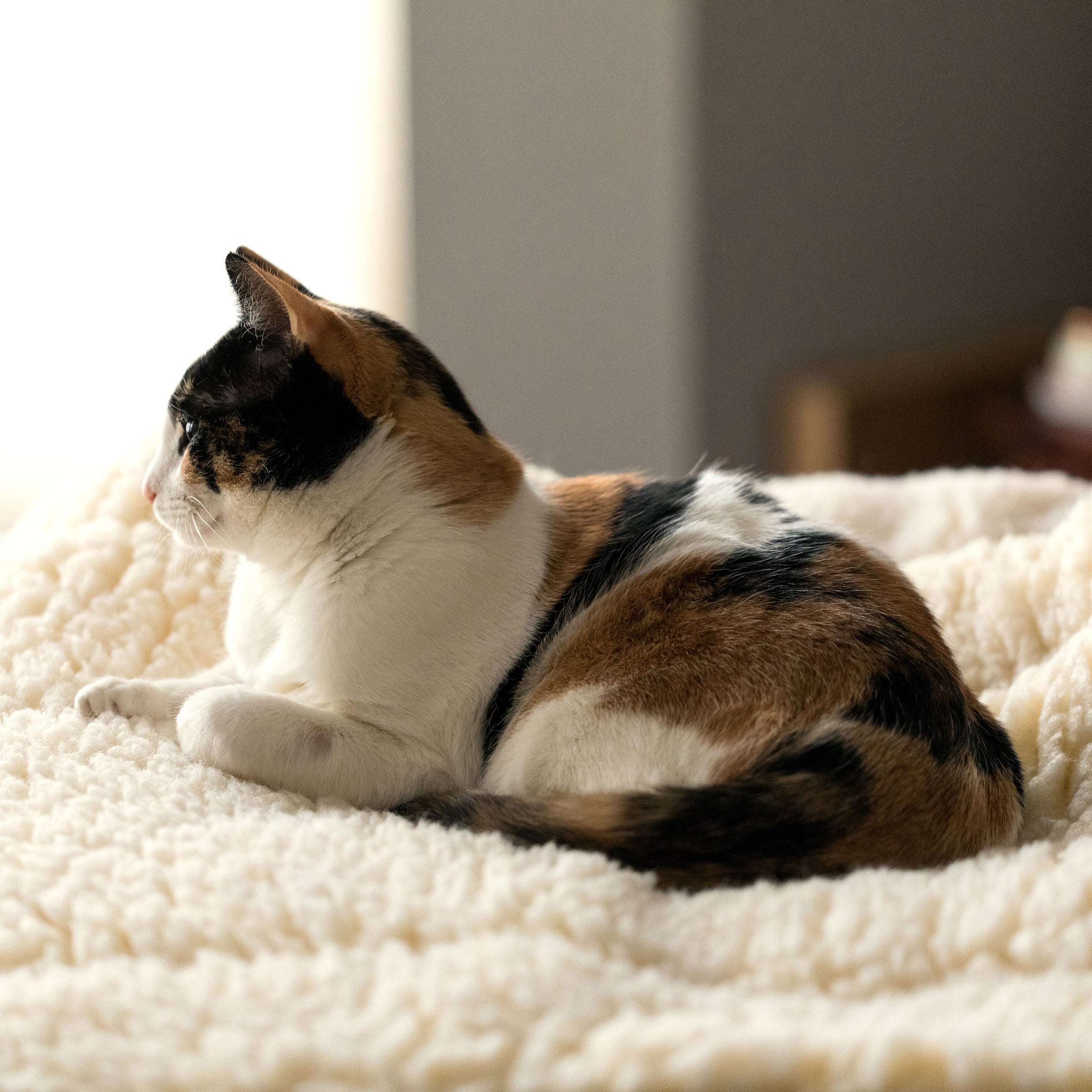 HuggleFleece Mat Cat & Dog Bed