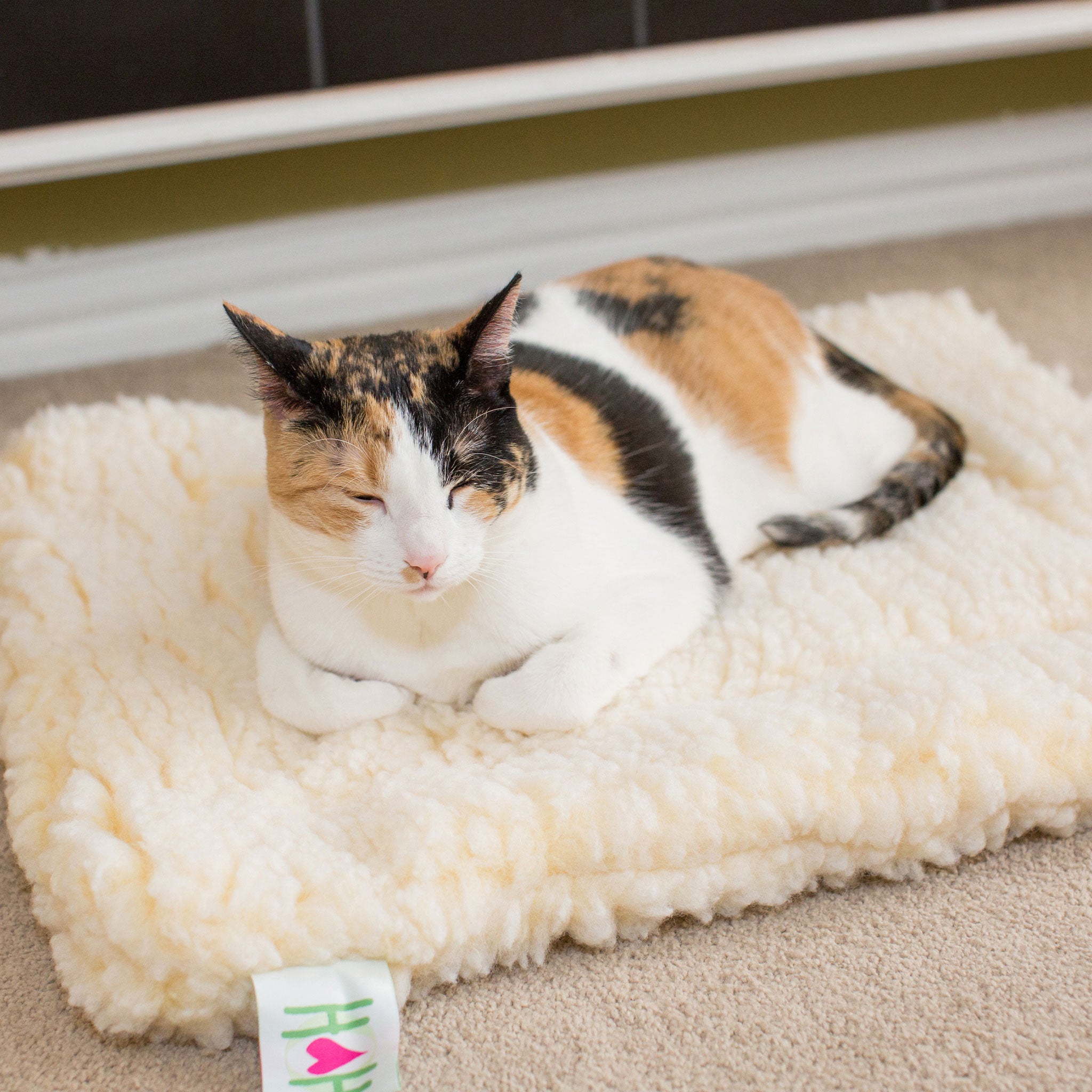 HuggleFleece Mat Cat & Dog Bed