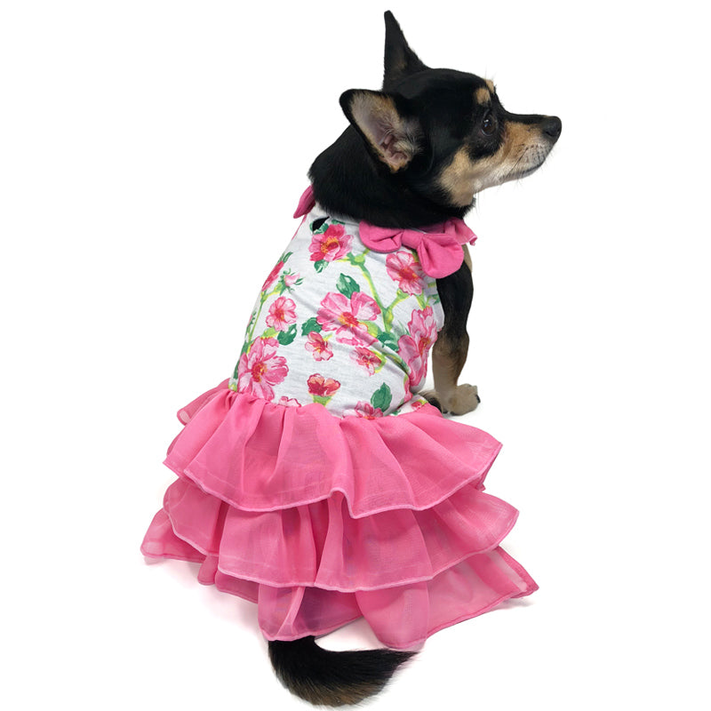 DOGO Floral Flounce Dog Dress