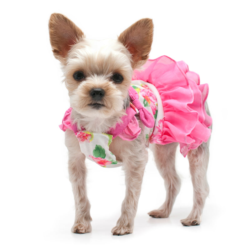 DOGO Floral Flounce Dog Dress