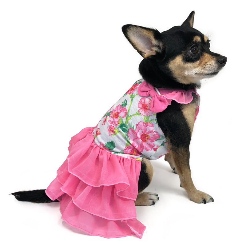 DOGO Floral Flounce Dog Dress