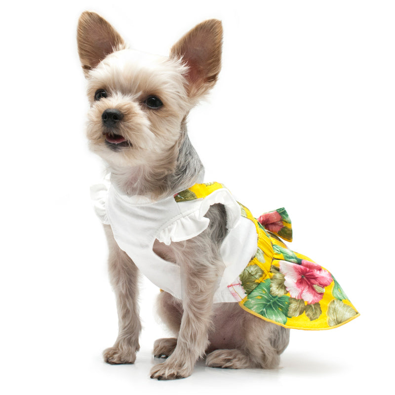 DOGO Floral Suspender Dog Dress