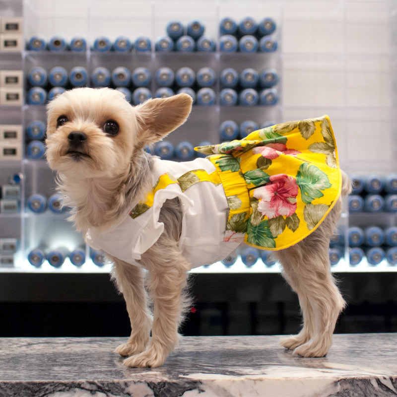 DOGO Floral Suspender Dog Dress