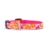 Up Country Flower Power Small Breed Dog Collar Made in USA