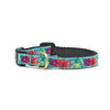 Up Country Flower Story Small Breed Dog Collar Made in USA