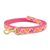 Up Country Flower Power Small Breed Dog Leash Made in USA